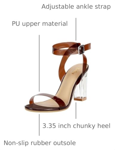 Image of ZriEy Clear Block Sandals Chunky Heels for Women 3.35 Inch Open Toe Adjustable Ankle Strap Pump Sandals for Weddings Parties Daily Wear