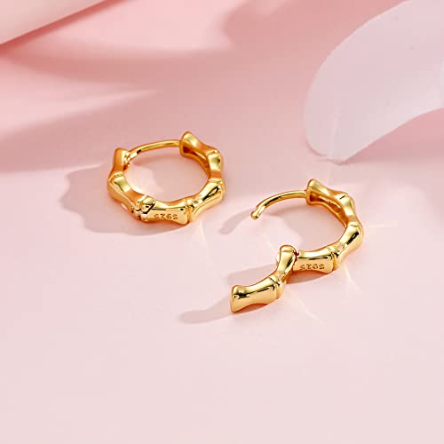 Hanreshe Bamboo Hoop Earrings 14K Gold Hollow Casting Punk HipHop Jewelry for Copper Bamboo Earrings for Women 90s4