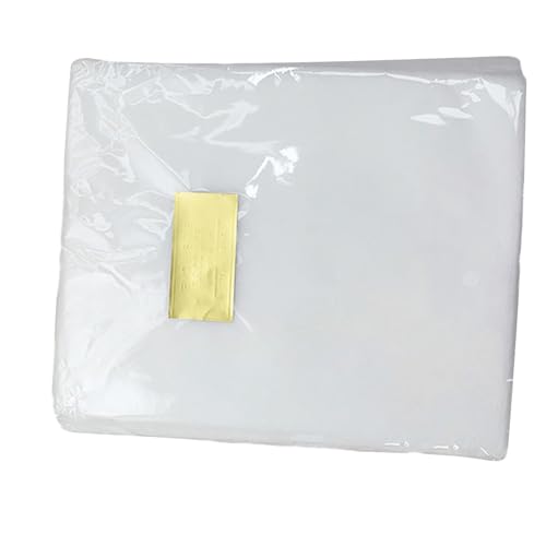 Lot de 100 filtres collecteurs de poussière pour ongles - Accessoires de manucure - Filtre en papier pour aspirateur à ongles - 100 pièces - Filtre collecteur de poussière portable pour nail art