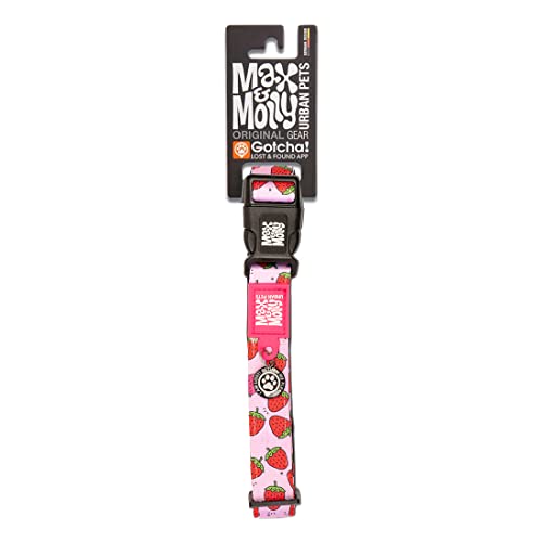 Collier pour chien Max & Molly réglable et imperméable avec QR code Gotcha anti-perte