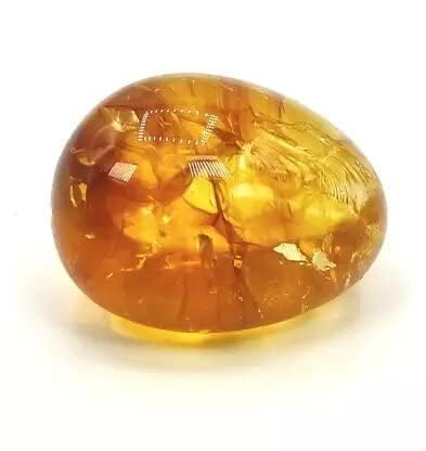 Premium Citrine Tumbled Pebble stones for Mind-body-spirit wellness: Healing Crystals, Aura Cleansing, Chakra Balancing, Feng Shui & Reiki Practices (B0CLPHXCC2) Amazon Price History, Amazon Price Tracker
