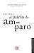 Reforma al juicio de amparo (Administracion Publica) (Spanish Edition)