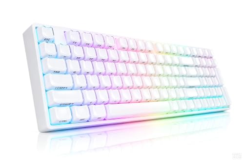 Image of ZORNHER ZH100 Foundation Mechanical Keyboard,98% Pink Creamy Keyboard with Number Pad,Full Size Gaming Keyboard Cute,Jelly MOA Profile Round Keycaps,Creamy Sounding Linear Switches,PC Gaming