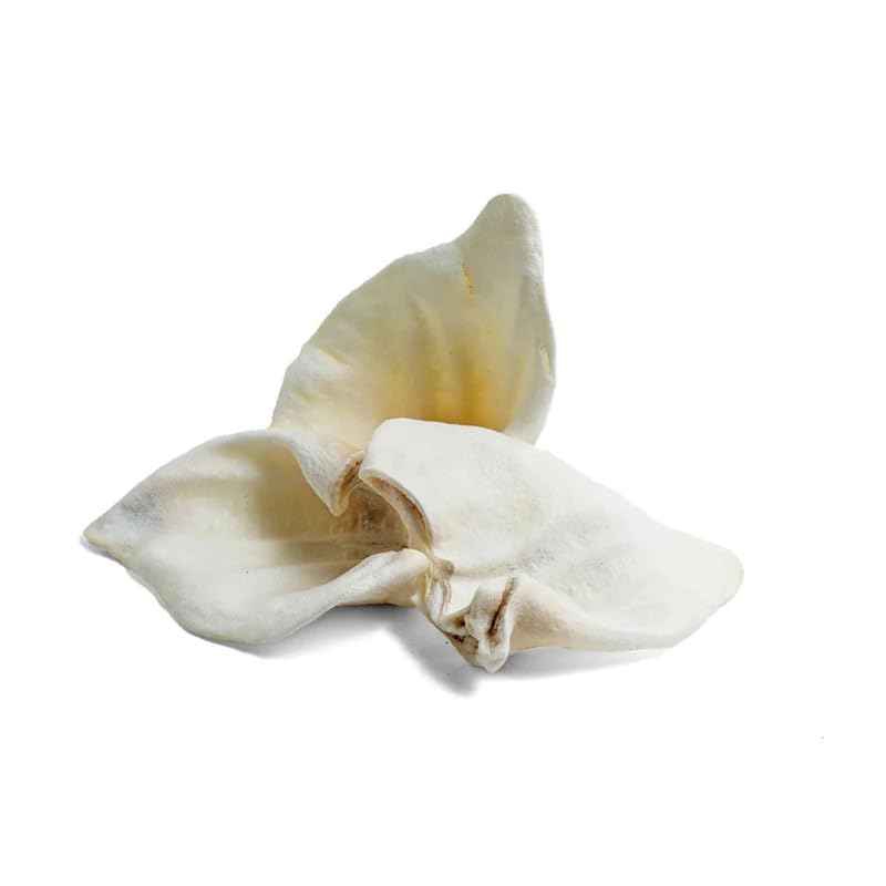 Superpet White Puffed Pigs Ears for Dogs (Pack of 3), Long Lasting Natural Dog Treats, Grain Free and High Protein, Single Ingredient Dog Chews for All Breeds