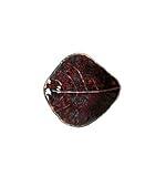 Fabriqué au PORTUGAL. Costa Nova, Riviera collection, Vaisselle en grès, Feuille, assiette pour apéritifs, vigne (bordeaux) , 11 cm, 6 pièces