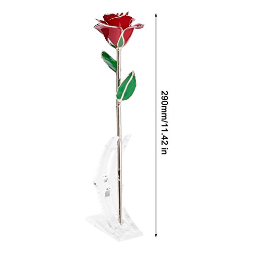 Rose, 24k Gold Rose for Her/Girlfriend/Mum/Grandma/Teacher with Transparent Stand and Gorgeous Presentation Box, Romantic Gift for Valentine's Day, Mother's Day, Anniversary, Birthday,