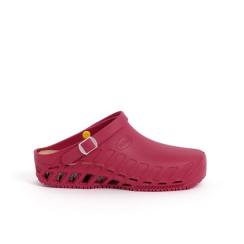 Zuecos Enfermera Zuecos Sanitarios EvoFlex Scholl Shoes Chanclas