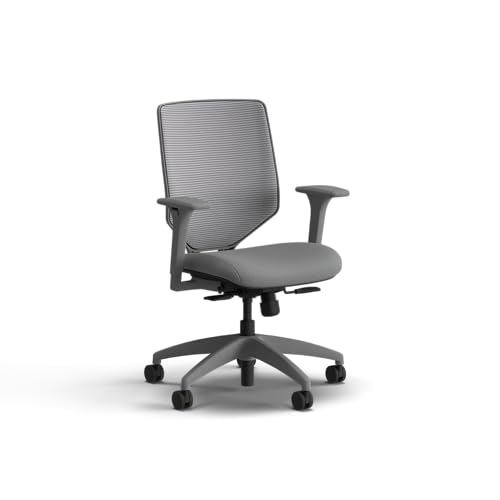Image of HON Solve Office Chair, Ergonomic Office Chair Mesh Back Support, Adjustable Lumbar Support, Height Adjustable Arms, Titanium Frame, Frost