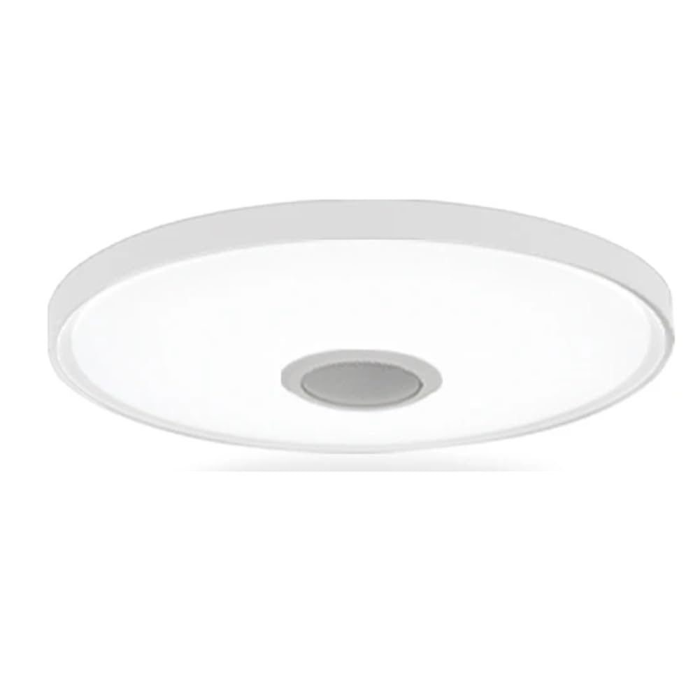 UDSKNV[KSL LED Smart Ceiling Lamps 45cm RGB Home Lighting Dimming with Remote Control Speaker Music Light