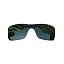 Grey Green Polarized