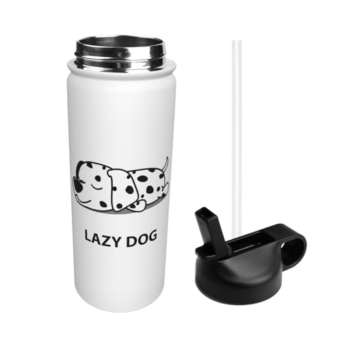  _VA  킢 X|[c{g @r e q l  Xg[t ۉۗ  v[g Mtg