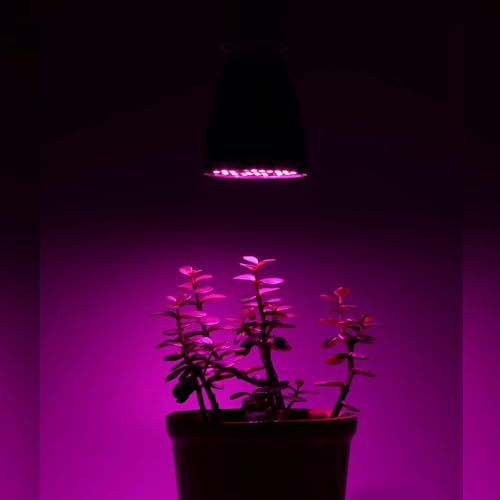 Image of TORPE-9W 20 LED Ultra Violet 395nm Light Bulb B22 with clear pc cover. 90 Days warranty