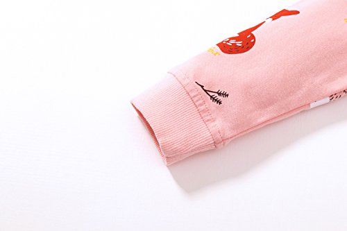 Image of Hongshilian Unisex Kids Cute Cartoon Cotton Sweater Shirt