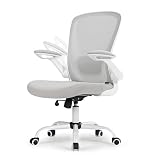 EUREKA ERGONOMIC Sedia da ufficio in rete, sedia ergonomica da scrivania con supporto lombare regolabile, braccioli ribaltabili, traspirante, passata BIFMA (grigio)