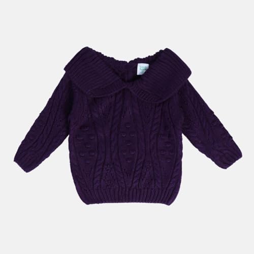 Image of miniklub Baby Collar Full Sleeve Knitted Cotton Sweater (Purple Color)