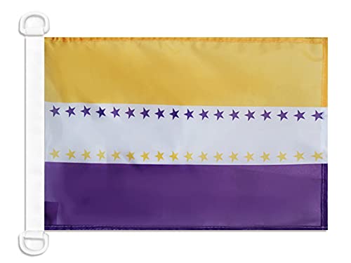 AZ FLAG 19th Amendment Victory Nautical Flag 18'' x 12'', National Woman's Right flags 30 x 45 cm, Banner 12x18 in for boat โ image 1