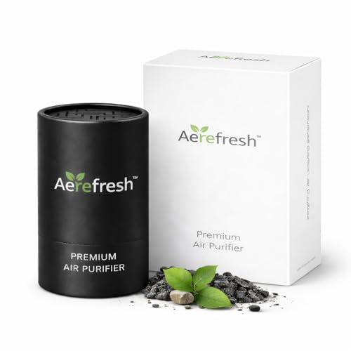Image of Activated Charcoal Car Air Purifier | Natural Odor Remover for Car & Home | Non-Electric, Chemical-Free Air Freshener | Removes Smoke, Smell & Pollutants | Lasts 24 Months