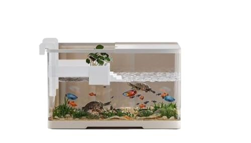 Fiozwea 水槽、カメの水槽、小さなリビングルームの家の造園、カバー付きの生態学的な透明デスクトップの完全なセット (ホワイト+7点セット)