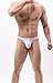Mens G-String Thong Underwear Stretchy Low Rise T Back All Day Comfort Lingerie Sexy Bulge Pouch Brief Underpants (Colorful 5-3pc,Medium)