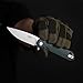 Ganzo Firebird FH41-GB Pocket Folding Knife D2 Steel Blade G10 Anti-Slip Handle with Clip Fishing Hunting Camping Outdoor Flipper EDC Pocket Knife Best Gift for Men and Women (Green)