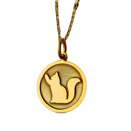 Bijou chat : collier pendentif pièce gravée 24 mm argent sterling plaqué or pour homme et femme