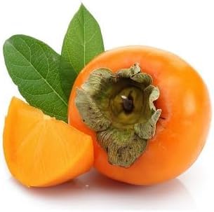 Graines de fruits de kaki 50 pièces Orange