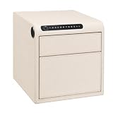 Jewelry Safe for Home with Drawers, Biometric Fingerprint Lock Box, Slide-Away Drawer for Handg