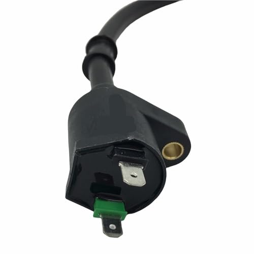 Bobina de encendido de jardín compatible con X8R para solucionar fallos de arranque 2