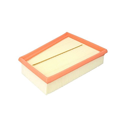 Filtron AP185/2 - Filtro dell'aria