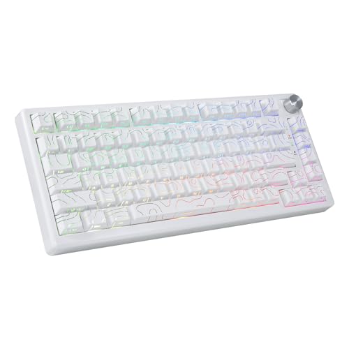 HUO JI 75% Wireless Mechanical Gaming Keyboard...