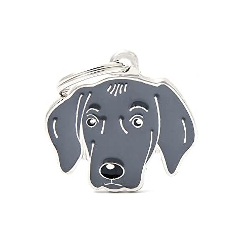 Placa de Identificación personalizado para perro My Family Weimaraner Cover