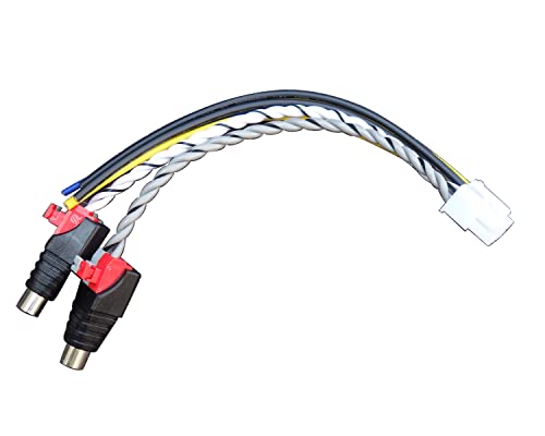 Anyqinsog 10-Pin Power Ground Remote Wire Speaker high Level Input Harness Plug RCA Cable Subwoofer Compatible with Pioneer TS-WX1210AM TS-WX1210A TS-WX1010A TS-WX300A TS-WX300TA