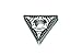 Walter Tools TNMG220408-MP3 WPP10S Carbide Tiger-Tec Negative Indexable Turning Insert, 0.031" Corner Radius, 0.500" IC, 0.187" Thick, 0.024" - 0.126" Depth of Cut (Pack of 10)