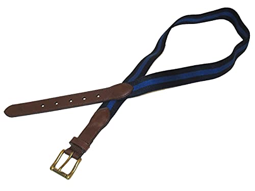 Polo Ralph Lauren メンズ ストライプ レザートリム ストレッチベルト, ネイビー/ロイヤル, 34