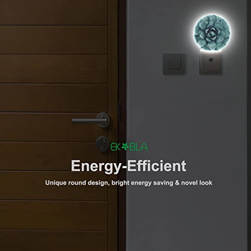 Image of EKOBLA Cactus Night Light, Green Tropical Plant Night Lights Plug Into Wall with Dusk to Dawn Auto Sensor for Bathroom, Hallway, Kitchen and Indoor Home Decor