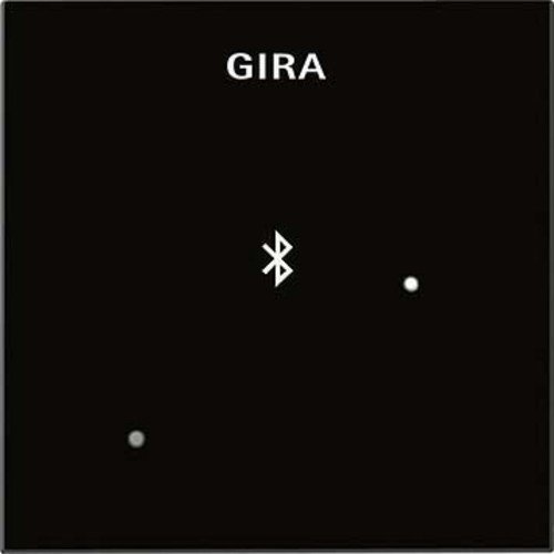 Gira Docking Station Blindabd. 228805 Sistema