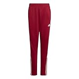 adidas Boys' Tiro Pants, Legacy Burgundy, Large