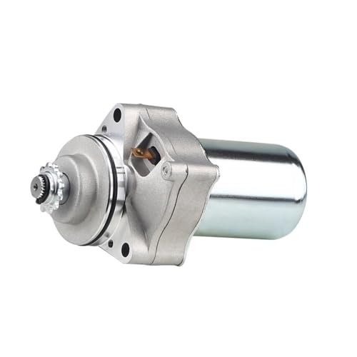 Démarreur électrique 12V pour quad Tao de loisir 50cc à 125cc en forêt