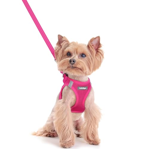 Rabbitgoo Step-In Dog Harness & Leash Set (Rose Red, XXS)