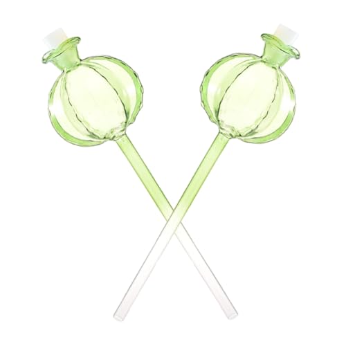 IMIKEYA 2個 自動水やり器 サボテン形状ガラス製 植物用自己給水システム 鉢植え 盆栽 室内園芸向け 土壌潅水 長保湿