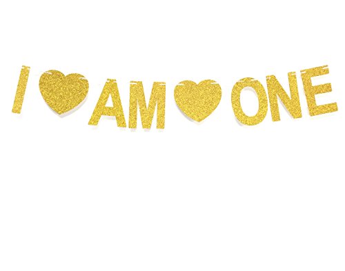 andgo I Am One Banderole Bannière Décoration Fête d'anniversaire de Douche de bébé Photo Prop Cover