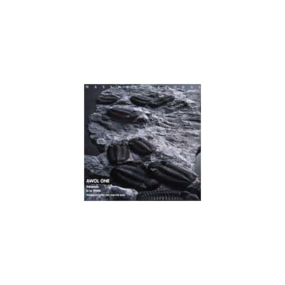 Trilobites / Static