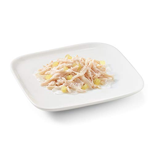 Schesir Dog Fruit Hühnerfilet mit Ananas, Hundefutter nass mit Früchten, 18 Dosen x 150 g