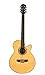 Fretlight 5? Acoustic Guitar with Built-in LED Lighted Learning System