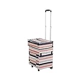 Leichtes Einkaufen und tragbares Leben.