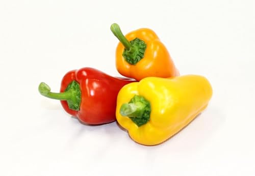 大分県九重町産 温泉パプリカ 5kg パプリカ 野菜 ベジタブル Vegetable 冷蔵