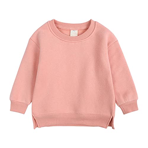 Little Kids Crewneck Pullover Girls Boys Sweatshirt Solid Color Long Sleeve Shirt Comfy Casual Tops Fall Clothes