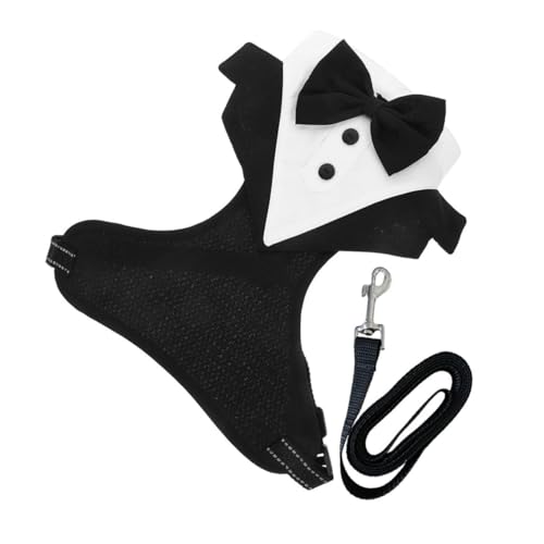 BELLIFFY 1 Zbg^LV[hp ƃ[h tH[}ybgxXg p[