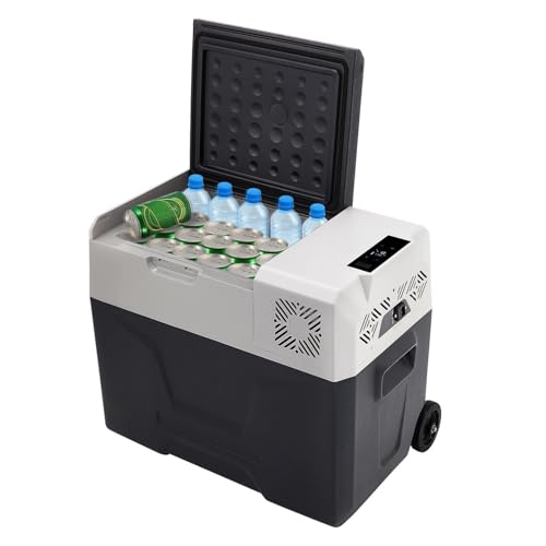 TECJHJZ Mini Fridge, Multifunctional Dual Use Car Mini Fridge Small Refrigerator For Both And Home,for Car/Office/Bedroom/Dorm Room