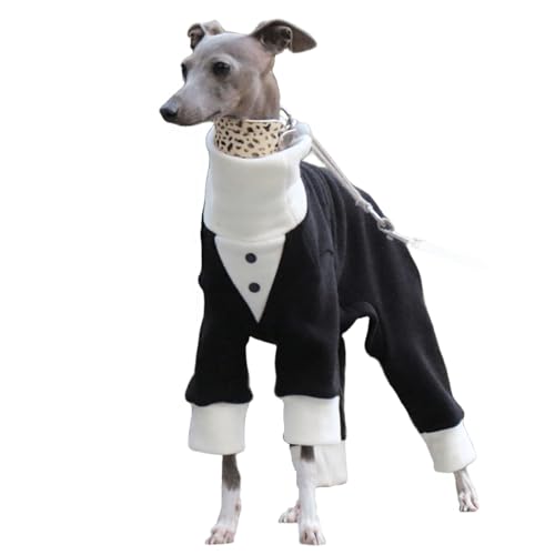 UOSIA OCnEh~R[gl{t[XtH[}ybgX[c NX}XEBybgWvX[cqamߑ^p